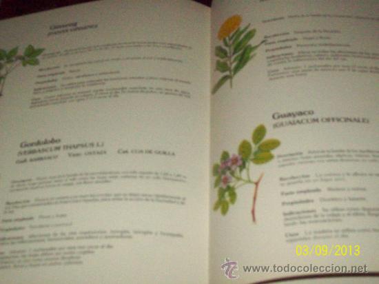 Libros: PLANTAS MEDICINALES - DR SAGRERA - ED LIDER EDHIS 1987 - Foto 4