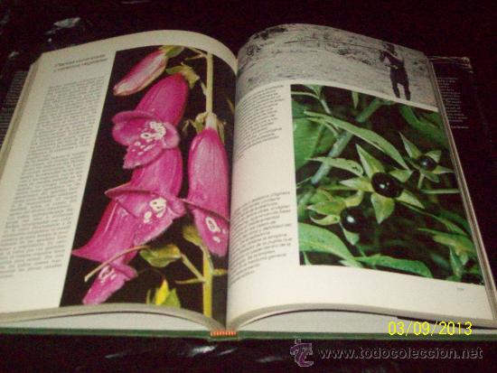 Libros: ENIGMAS DE LA NATURALEZA - ED. C.L. - Foto 4