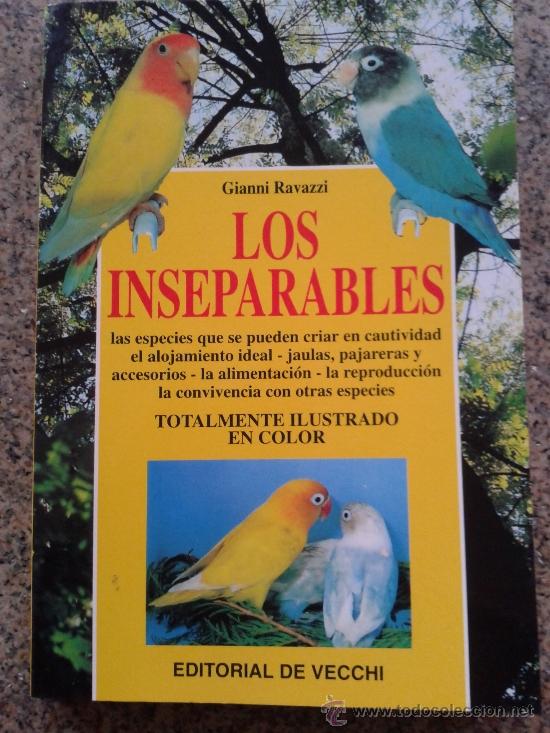 Libros: LOS INSEPARABLES -- GIANNI RAVAZZI -- - Foto 1