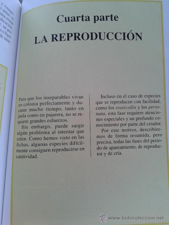 Libros: LOS INSEPARABLES -- GIANNI RAVAZZI -- - Foto 4