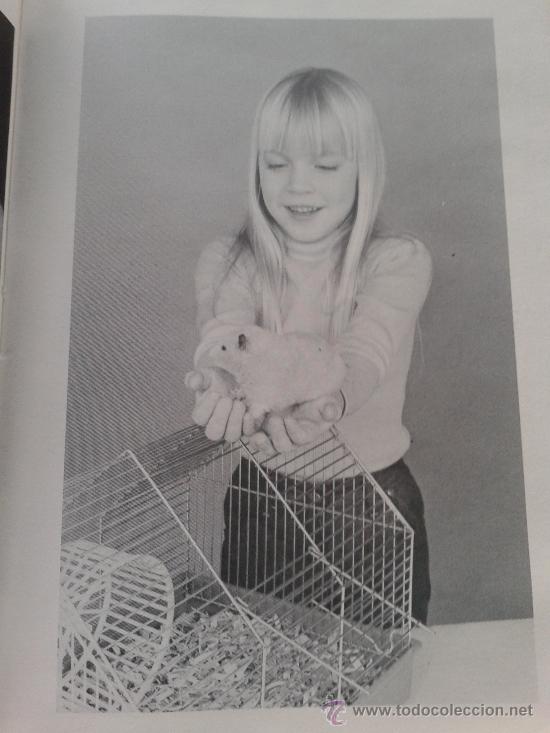 Libros: HAMSTERS - M. OSTROW - - Foto 2
