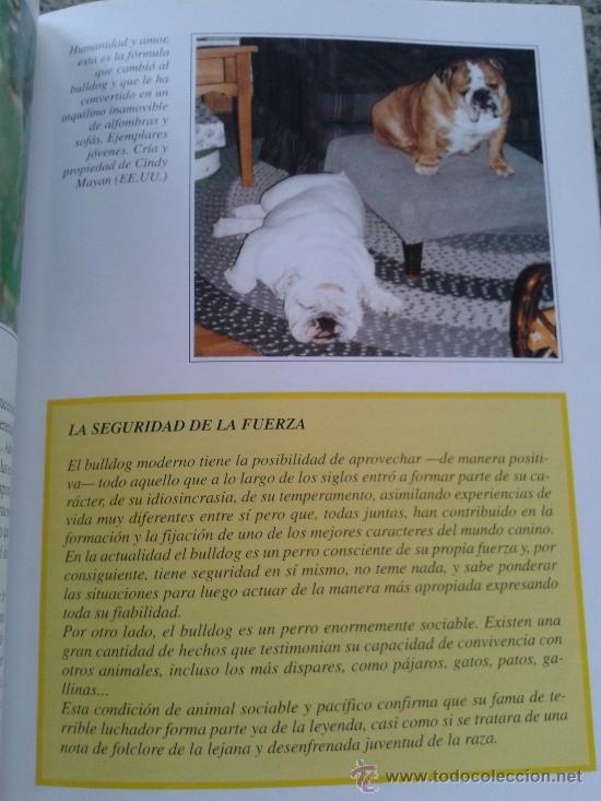 Libros: EL BULLDOG -- FABIO C. FIORAVANZI -- - Foto 2