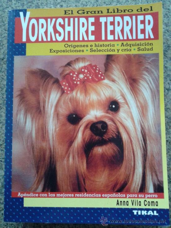 Libros: EL GRAN LIBRO DEL YORKSHIRE TERRIER -- ANNA VILA COMA -- - Foto 1