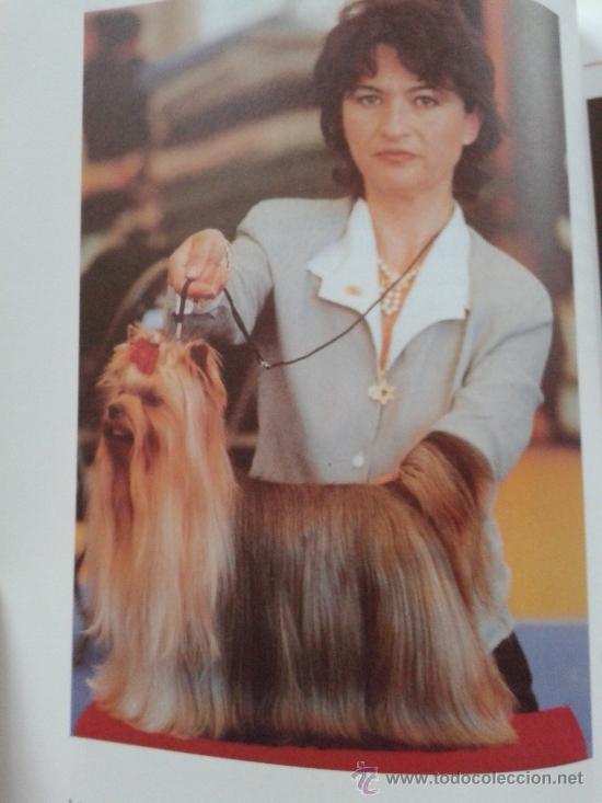 Libros: EL GRAN LIBRO DEL YORKSHIRE TERRIER -- ANNA VILA COMA -- - Foto 2