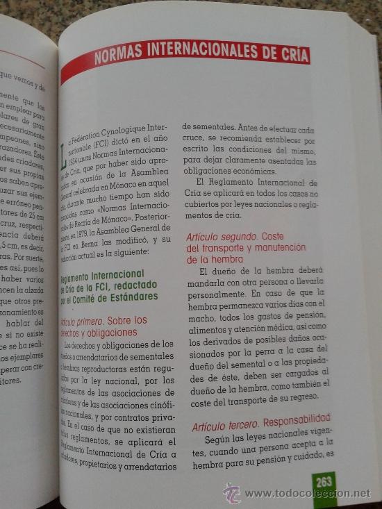 Libros: EL GRAN LIBRO DEL YORKSHIRE TERRIER -- ANNA VILA COMA -- - Foto 4
