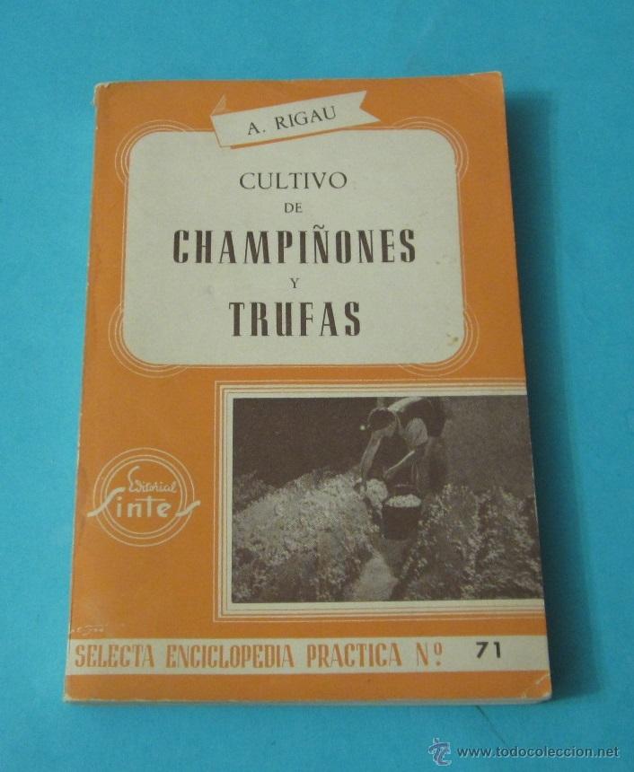 Libros: CULTIVO DE CHAMPI&Ntilde;ONES Y TRUFAS. A. RIGAU - Foto 1