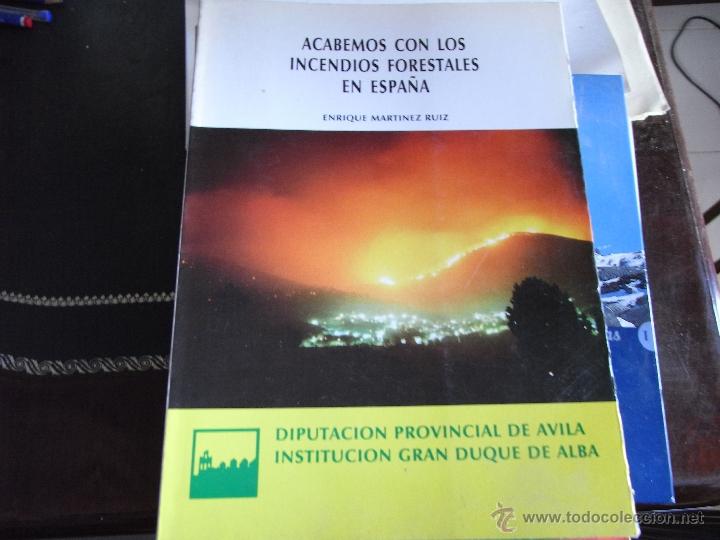Libros: Acabemos con los incendios forestales en Espa&ntilde;a. - Foto 1