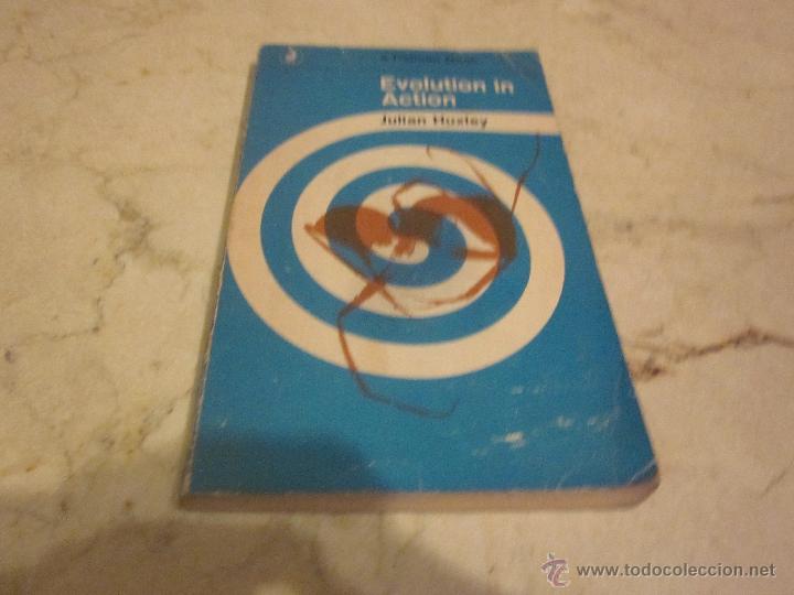 Libros: JULIAN HUXLEY - EVOLUTION IN ACTION - PENGUIN 1968 - Foto 1