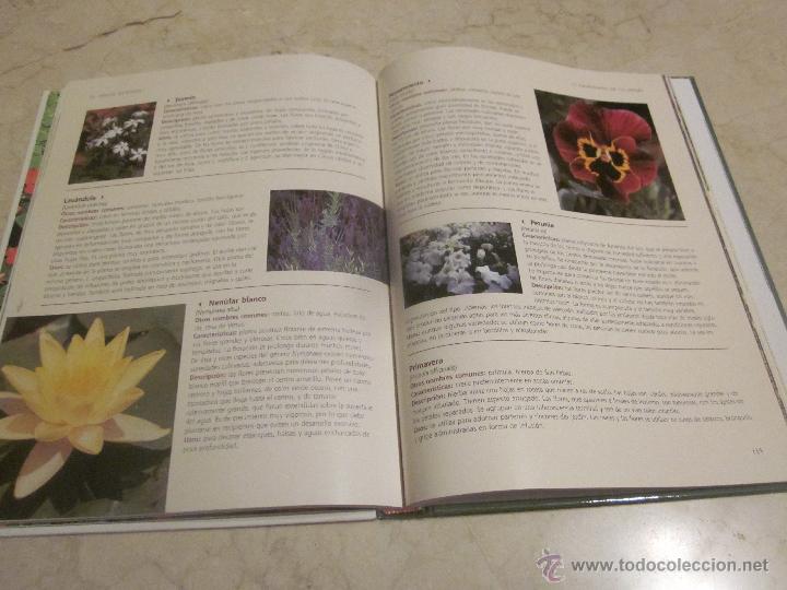 Libros: EL GRAN LIBRO DE LA JARDINERIA - RUEDA 2009 - Foto 2