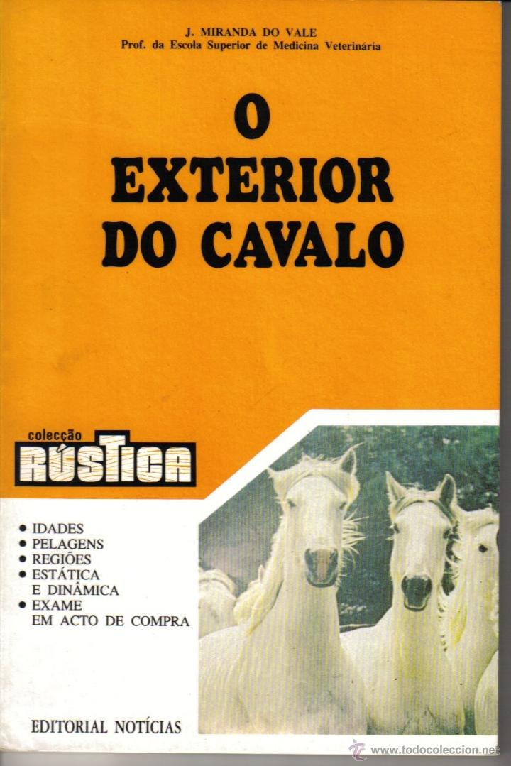 Libros: O EXTERIOR DO CAVALO (MIRANDA DO VALE, J.) - Foto 1