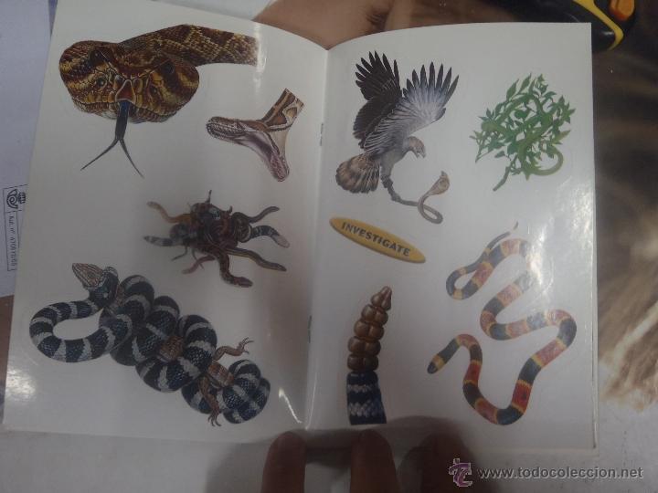 Libros: LAS SERPIENTES DE DAVID KIRSHNER CON LAS PEGATINAS EN EL INTERIOR - Foto 2