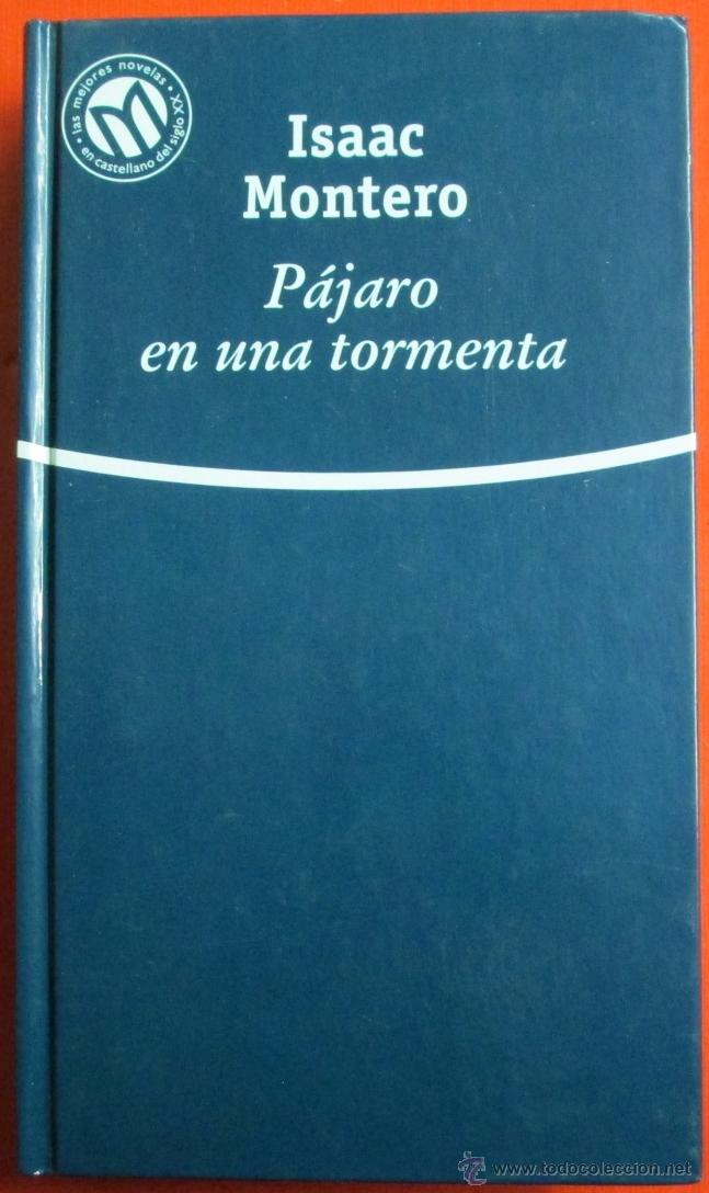 Libros: PAJARO EN LA TORMENTA - ISAAC MONTERO - 2001 - Foto 1