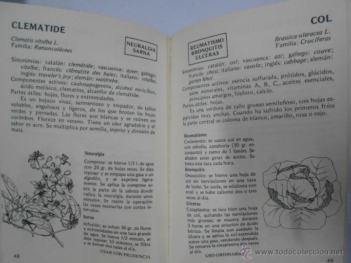 Libros: HIERBAS QUE CURAN. CHESSI, EDMUNDO. TDK165 - - Foto 2