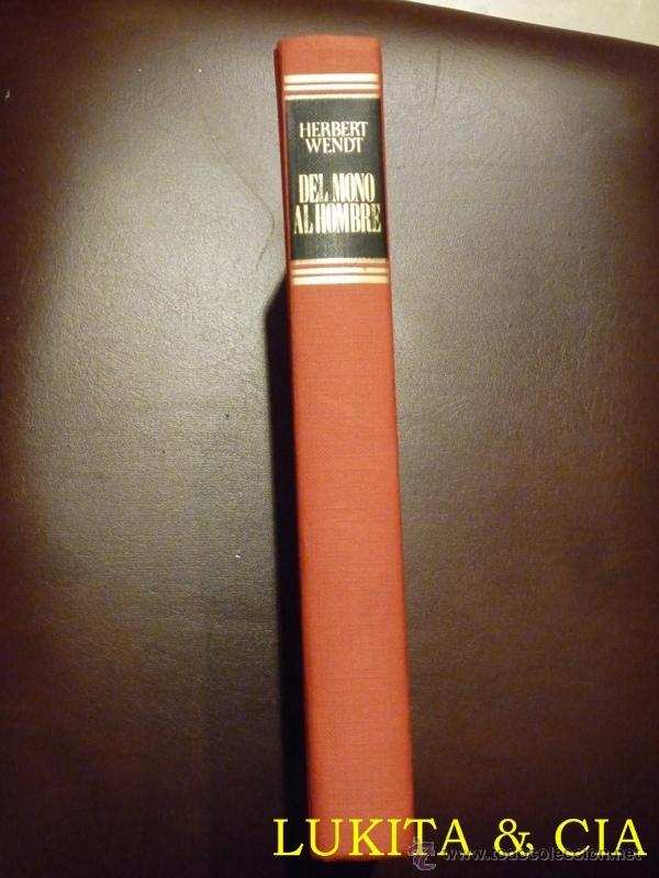 Libros: DEL MONO AL HOMBRE - HERBERT WENDT - 1976 - Foto 3