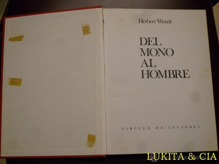 Libros: DEL MONO AL HOMBRE - HERBERT WENDT - 1976 - Foto 4