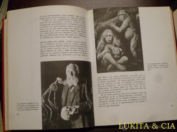 Libros: DEL MONO AL HOMBRE - HERBERT WENDT - 1976 - Foto 5