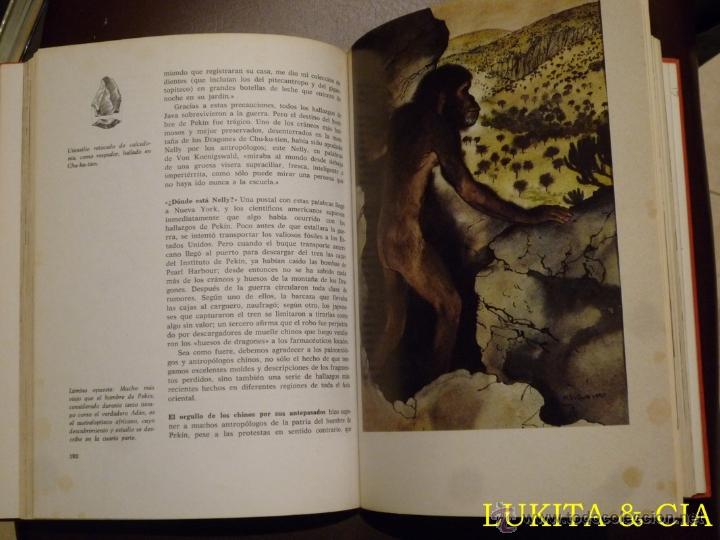 Libros: DEL MONO AL HOMBRE - HERBERT WENDT - 1976 - Foto 6