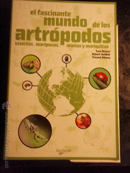 Livros em segunda m&atilde;o: EL FASCINANTE MUNDO DE LOS ARTROPODOS, INSECTOS, MARIPOSAS, ARA&Ntilde;AS Y MARIQUITAS
