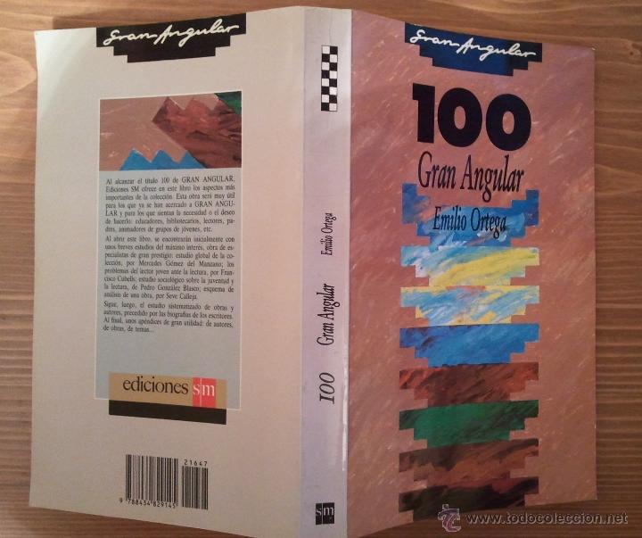 Libros: 100 GRAN ANGULAR DE EMILIO ORTEGA EDICIONES SM 1989 RESUMEN COMPLETA DE LA COLECCI&Oacute;N - Foto 1