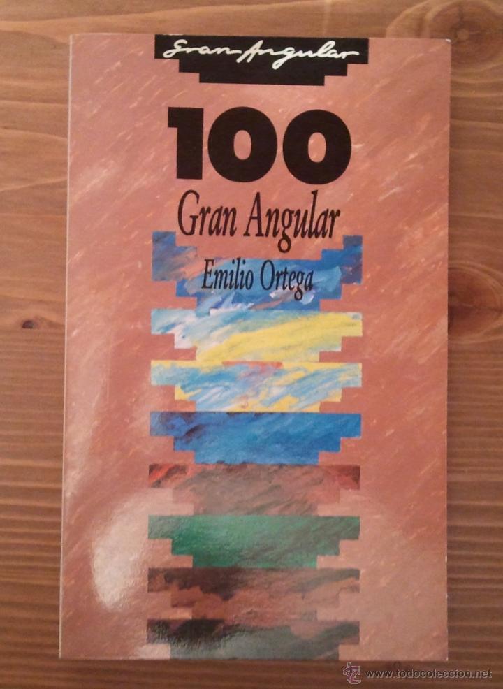 Libros: 100 GRAN ANGULAR DE EMILIO ORTEGA EDICIONES SM 1989 RESUMEN COMPLETA DE LA COLECCI&Oacute;N - Foto 3