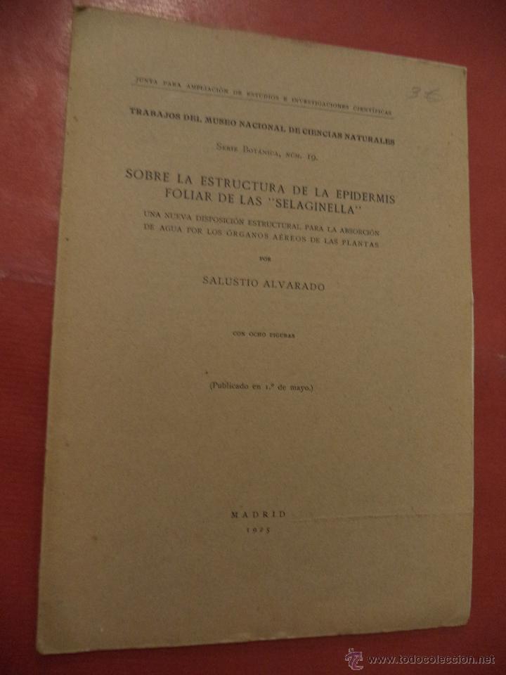 Libros: TRABAJO DEL MUSEO NACIONAL DE CIENCIASS NATURALES SOBRE LA ESTRUCTURA DE LA EPIDERMIS FOLIAR....