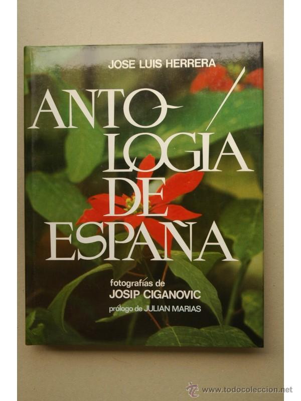 Libros: Antolog&iacute;a de Espa&ntilde;a - HERRERA, Jos&eacute; Luis - Foto 1