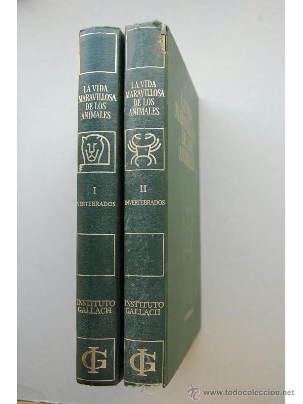 Libros: La vida maravillosa de los animales - JONCH CUSPINERA, Antonio - Foto 1