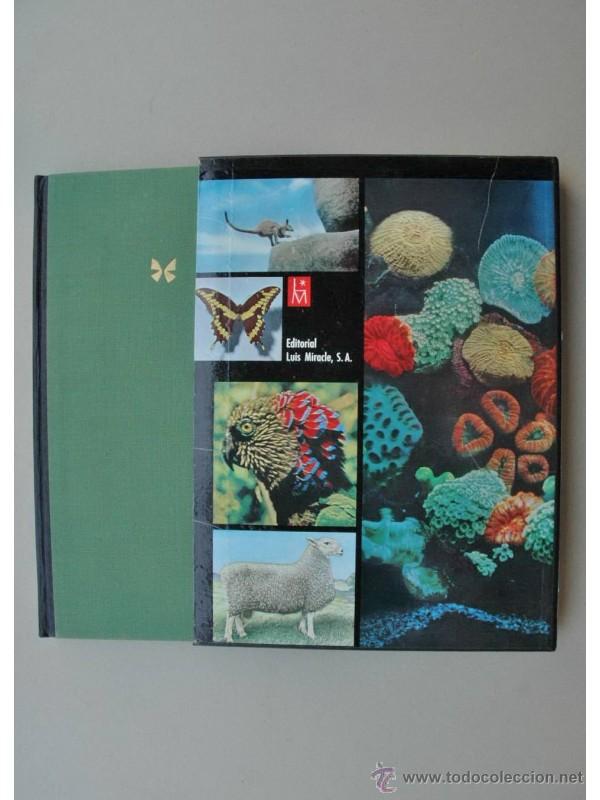 Libros: Las maravillas de la vida - BARNETT, Lincoln - Foto 1
