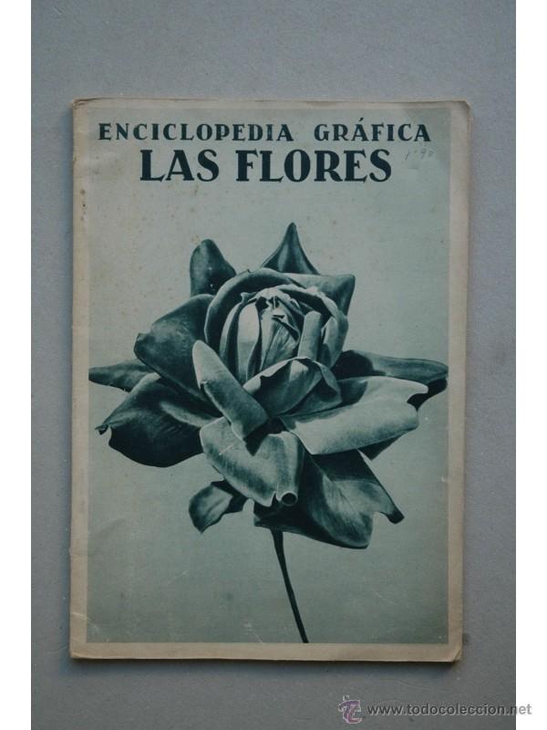 Libros: Las flores - OLIV&Aacute;N, Nicasio - Foto 1