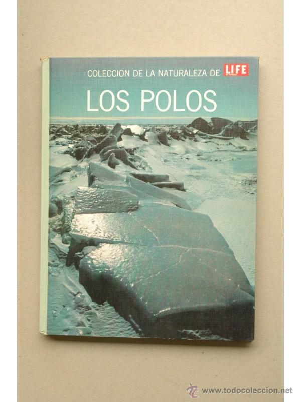 Libros: Los Polos - LEY, Willy - Foto 1