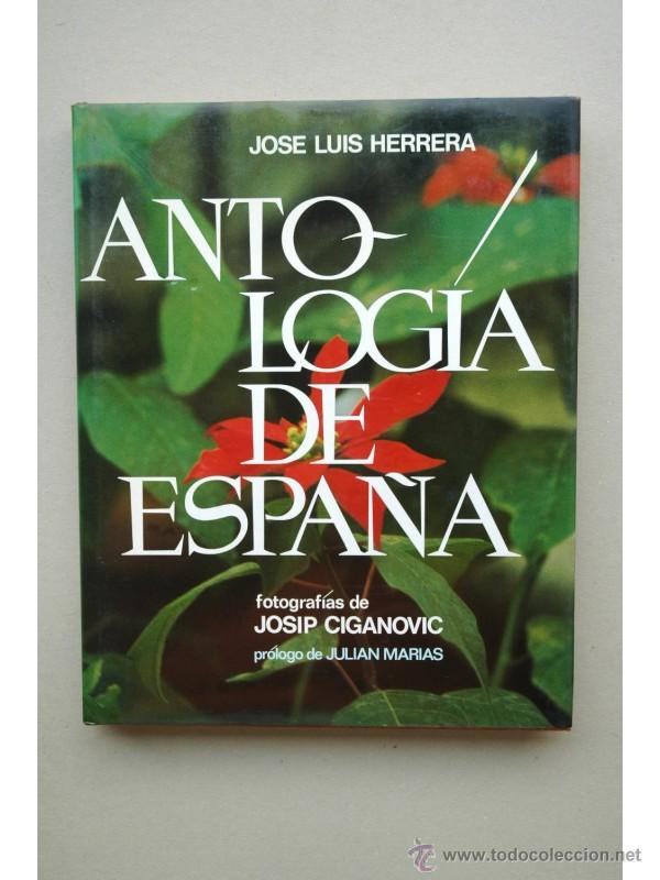 Libros: Antolog&iacute;a de Espa&ntilde;a - HERRERA, Jos&eacute; Luis - Foto 1