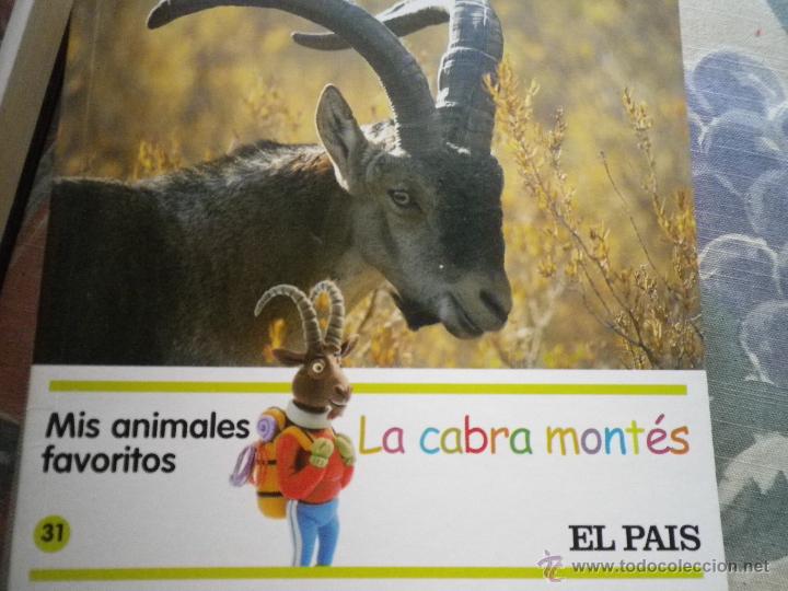 Libros: LIBRO MIS ANIMALES FAVORITOS LA CABRA MONTES - Foto 1