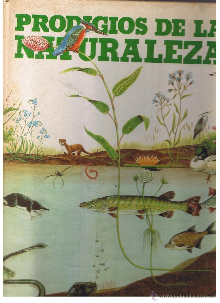 Libros: PRODIGIOS DE LA NATURALEZA. DAVID SHARP, EDITORIAL H.M.B., S.A. - Foto 1