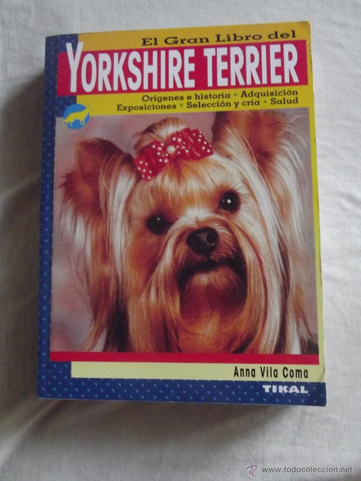 Libros: EL GRAN LIBRO DEL  YORKSHIRE TERRIER POR ANA VILA COMA