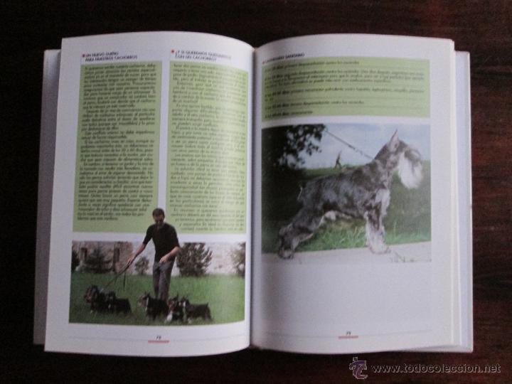 Libros: El Schnauzer --- Valeria Rossi - Foto 2