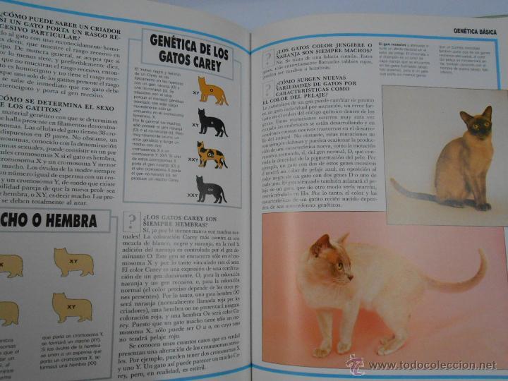 Libros: Manual para el cuidado del gato. Viner, Bradley. TDK82 - - Foto 2