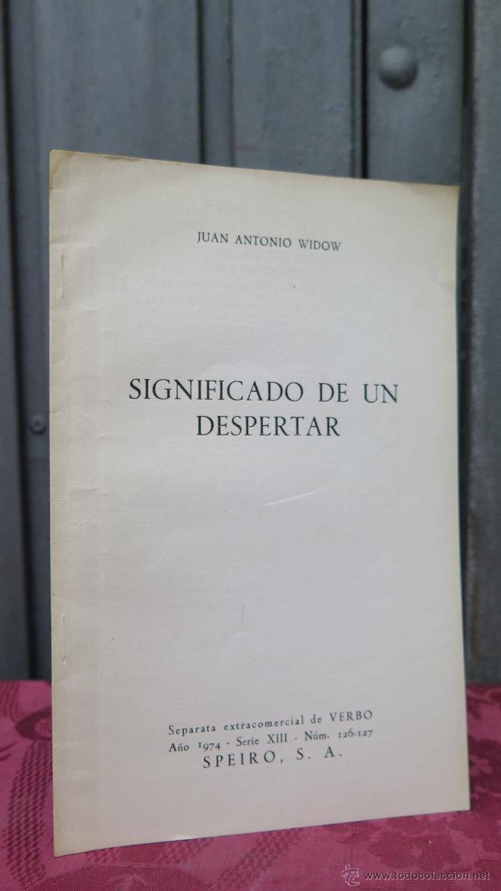 Libros: SIGNIFICADO DE UN DESPERTAR. JUAN ANTONIO WIDOW. SPEIRO