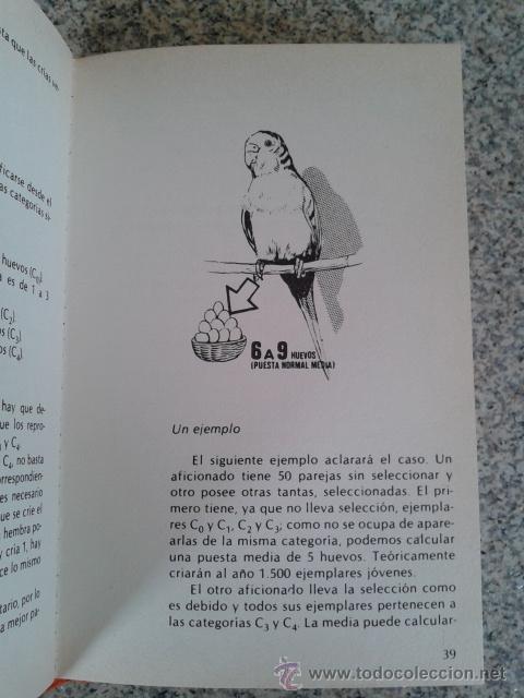 Libros: PERIQUITOS -- W. CRAWFORD -- EDICIONES EDITORS -- - Foto 2