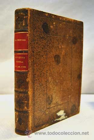 Libros: Govierno (Gobierno.) general.- Ferrer de Valdecebro, Andres - Foto 1