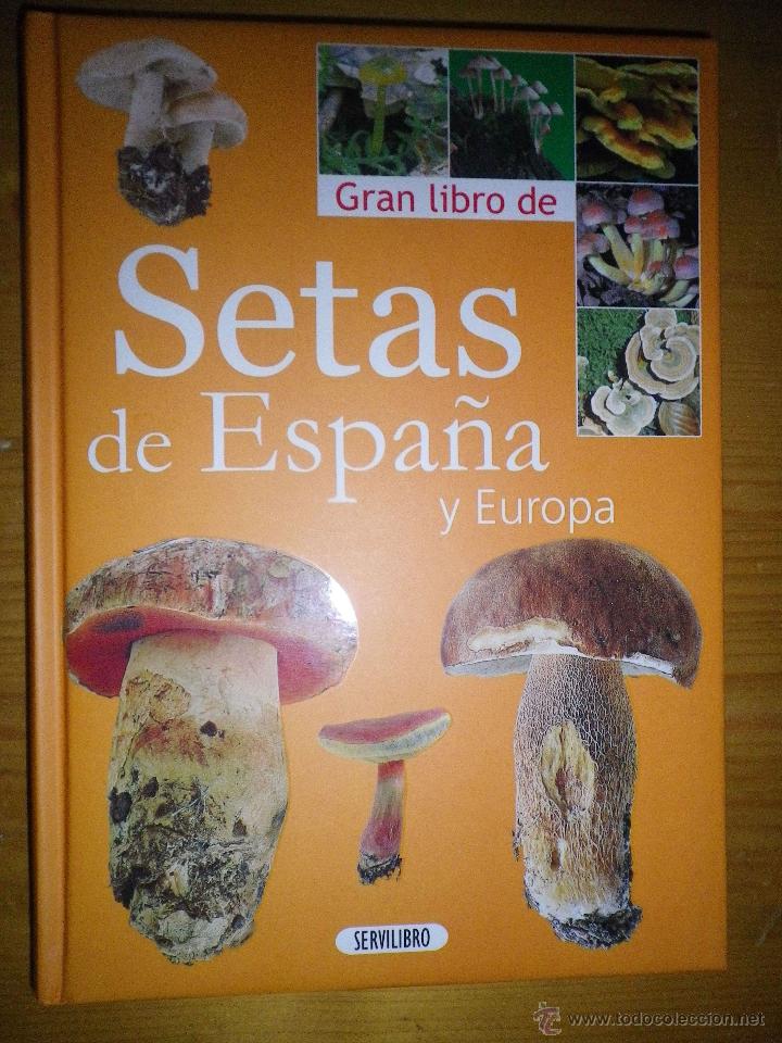 Libros: GRAN LIBRO DE SETAS DE ESPA&Ntilde;A Y EUROPA - Foto 1