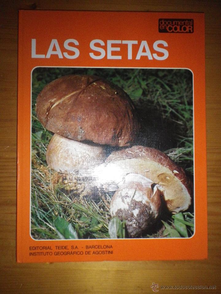 Libros: LAS SETAS  EDITORIAL TEIDE BARCELONA - Foto 1