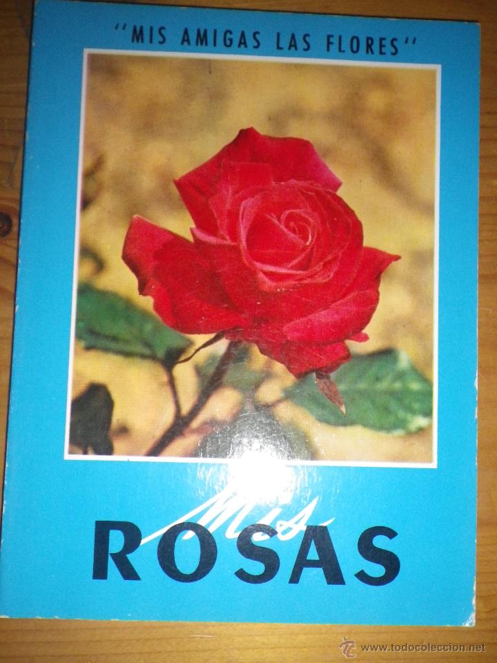 Libros: MIS AMIGAS LAS FLORES   ROSAS - Foto 1