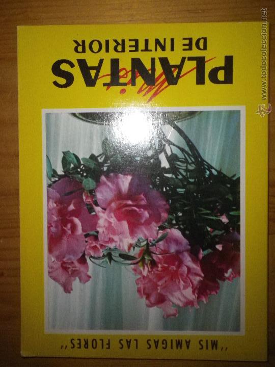 Libros: MIS AMIGAS LAS FLORES  PLANTAS DE INTERIOR - Foto 1