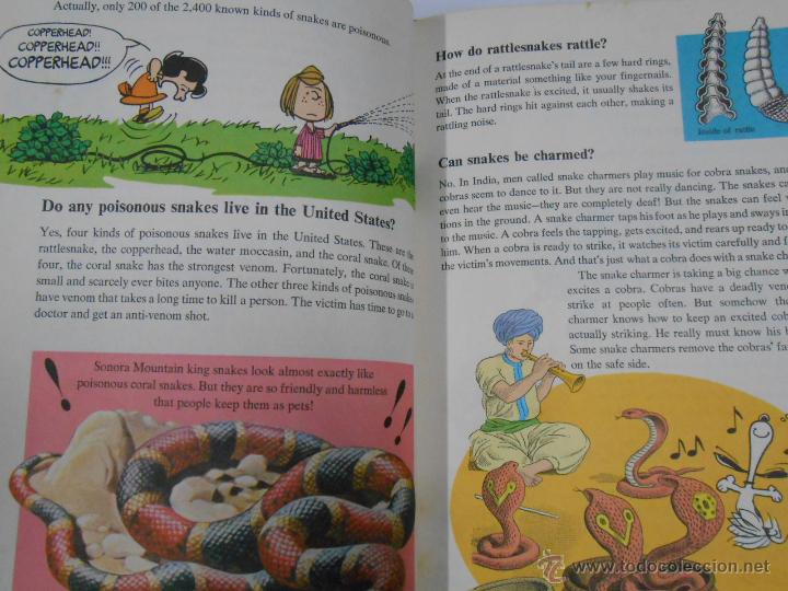 Libros: CYCLOPEDIA CHARLIE BROWN&acute;S SNOOPY 3 TDK2 - - Foto 2