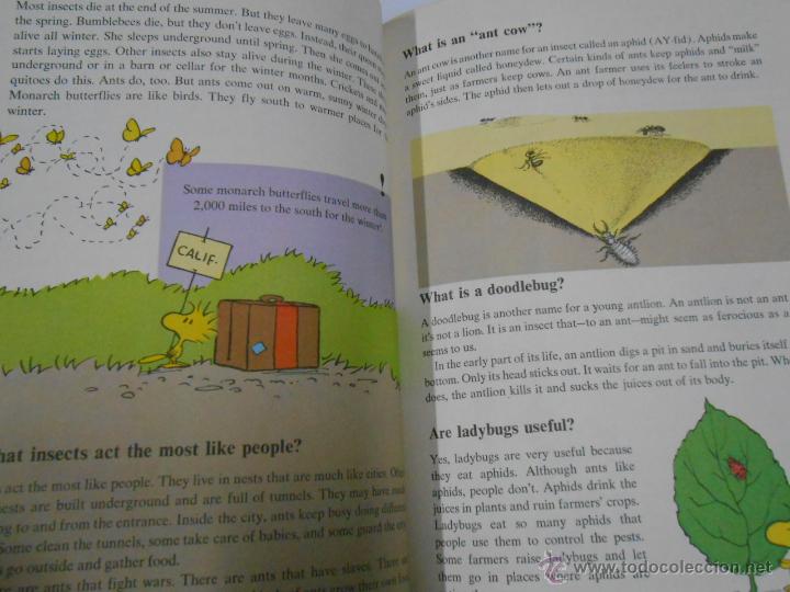 Libros: CYCLOPEDIA CHARLIE BROWN&acute;S SNOOPY 2 TDK2 - - Foto 2