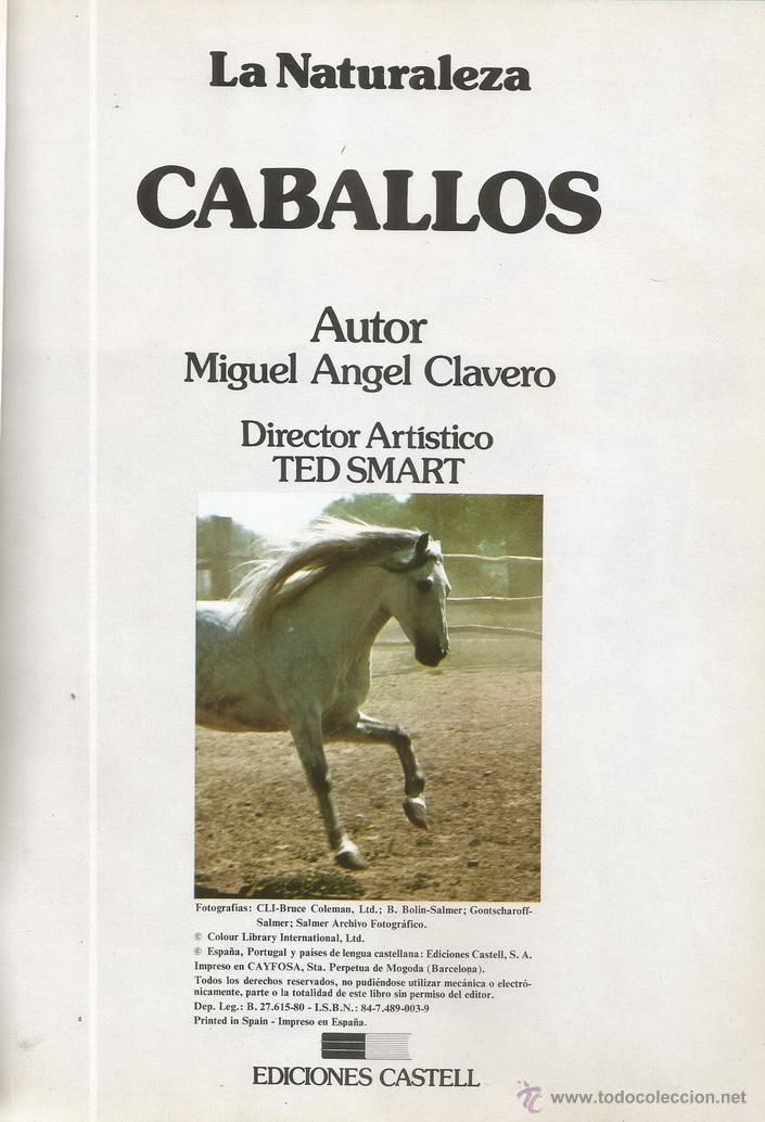 Libros: MIGUEL &Aacute;NGEL CLAVERO. Caballos. RM67678. - Foto 1