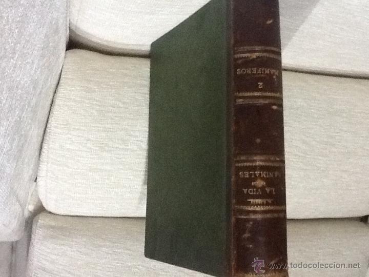 Libros: La vida de los animales, mam&iacute;feros , 1882 A.E.Brehm - Foto 1