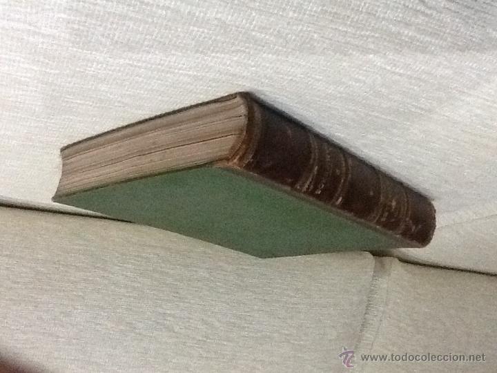 Libros: La vida de los animales, mam&iacute;feros , 1882 A.E.Brehm - Foto 3