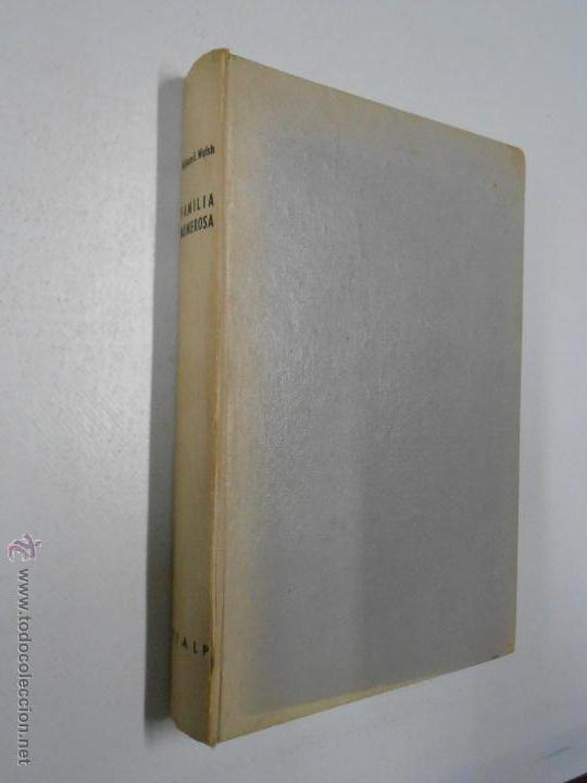 Libros: FAMILIA NUMEROSA. WILLIAM E. WALSH. TDK4 - - Foto 1