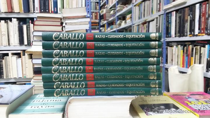 Libros: EL CABALLO. RAZAS, CUIDADOS, EQUITACION (8 tomos) () - Foto 1